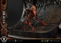 Museum Masterline XL Alien 3 (Film) Dog Alien			 28