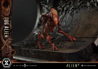 Prime 1 Studio Museum Masterline XL Alien 3 (Film) Dog Alien			 - Alien (Movie Franchise) - photo 28