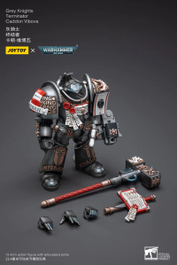 Grey Knights  Terminator  Caddon Vibova 2