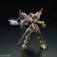 RG 1/144 #24 Gundam Astray Gold Frame Amatsu Mina 3