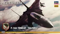 Hasegawa 1/72  F-14A TOMCAT "ACE COMBAT RAZGRIZ" - Scale Kits - photo 1