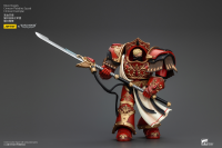 Blood Angels Crimson Paladins Squad Crimson Exemplar 2