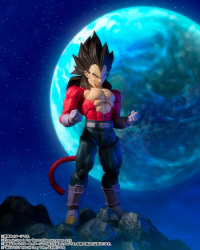 Super Saiyan 4 Vegeta 8