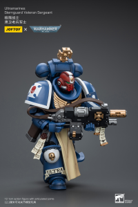 Ultramarines Sternguard Veteran Sergeant 5