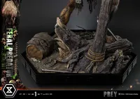 Prime 1 Studio Museum Masterline Prey Feral Predator - Live Action Movies/TV - photo 26