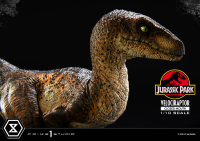 Prime Collectible Figures  Jurassic Park (Film)  Velociraptor  Closed Mouth 25