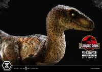 Prime 1 Studio Prime Collectible Figures  Jurassic Park (Film)  Velociraptor  Closed Mouth - Jurassic Park - photo 25