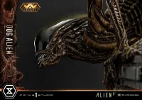 Prime 1 Studio Museum Masterline XL Alien 3 (Film) Dog Alien DX Bonus Version - Alien (Movie Franchise) - photo 43