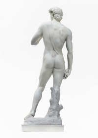 David 8