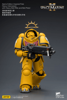Game Edition Imperial Fists Heavy Intercessor with Heavy Bolt Rifle and Bolt Pistol 17