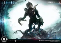 Prime 1 Studio Premium Masterline Aliens (Comics) Tusked Alien Bonus Version - Alien (Movie Franchise) - photo 52