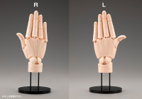 ARTIST SUPPORT ITEM HAND MODEL/L -PALE ORANGE- 5
