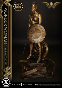 Museum Masterline Wonder Woman (Film) Wonder Woman Training Costume Gold Version 4