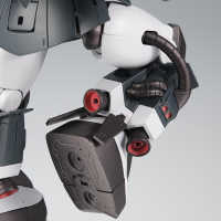MS-06R-1A ZAKUII High Mobility Type ~Black Tri Stars~ ver. A.N.I.M.E. 2