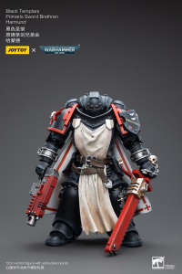 Black Templars Primaris Sword Brethren Harmund 1