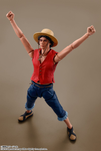 Monkey D.Luffy (A Netflix Series: One Piece) 8
