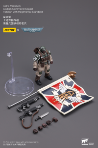Astra Militarum Cadian Command Squad Veteran with Regimental Standard 8