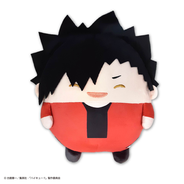 Haikyu!! FUWA KORORIN M SIZE SPECIAL (D)