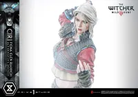 Prime 1 Studio Premium Masterline The Witcher 3: Wild Hunt Ciri Fiona Elen Riannon Alternative Outfit - Video Games - photo 32