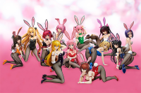 Ryoko Mikado: Bunny Ver. 9