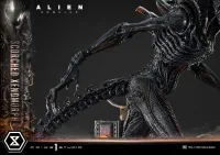 Prime 1 Studio Museum Masterline XL Alien: Romulus Scorched Xenomorph Deluxe Bonus Version - Alien (Movie Franchise) - photo 70
