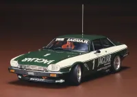 Hasegawa 1/24 JAGUAR XJ-S H.E. TWR - Scale Kits - photo 2