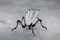 METAMORPHOSE UNIT EXARMOR WHITE SORCERESS 4