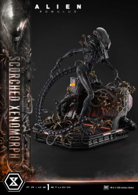 Museum Masterline XL Alien: Romulus Scorched Xenomorph Deluxe Bonus Version 10