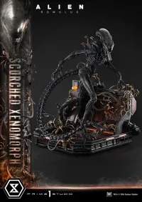 Prime 1 Studio Museum Masterline XL Alien: Romulus Scorched Xenomorph Deluxe Bonus Version - Alien (Movie Franchise) - photo 10