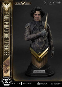Real Elite Masterline Dune: Part Two (Film) Paul Atreides Ultimate Version 37