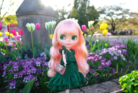 Blythe Urban Fairy Ellie(re-order) 6