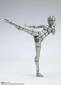 TAMASHII NATIONS Body Chan -Kentaro Yabuki- Wire Frame (Gray Color Ver.) , Bandai Spirits S.H Figuarts - Action Figures - photo 2