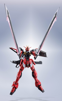 <SIDE MS>SWORD IMPULSE GUNDAM SPECⅡ "GUNDAM", TAMASHII NATIONS METAL ROBOT SPIRITS 3