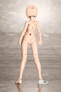 B1R-M CHASSIS KIT SKIN COLOR A 4