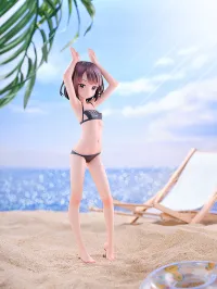 KADOKAWA Sword Art Online Alternative: Gun Gale Online LLENN: Light Novel Swimsuit Ver. - Sword Art Online - photo 6