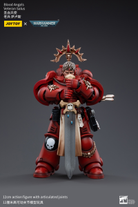 Blood Angels Veteran Salus 1