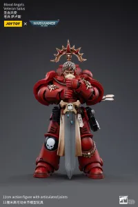 JOYTOY Blood Angels Veteran Salus - Warhammer 40K - photo 1