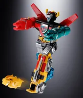 TAMASHII NATIONS VOLTRON - Beast King GoLion - photo 11