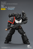 Raven Guard Intercessor with Bolt Rifle, Bolt Pistol and Chainsword 22