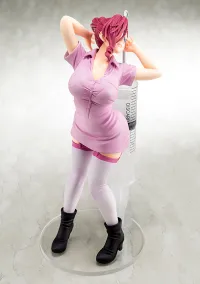 Hakoiri-musume 1/6 scaled pre-painted figure worlds end harem AKANE RYUZOJI dress-up nurse - world’s end harem - photo 6