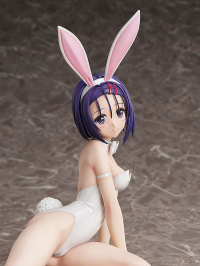 Haruna Sairenji: Bare Leg Bunny Ver. 9