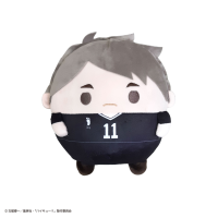 Haikyu!! FUWA KORORIN Msize D 1