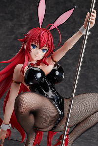 Rias Gremory: Bunny Ver. 2nd 8