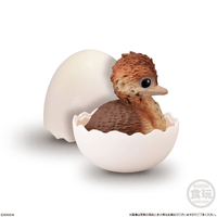 Tenori Baby Friends - Birds  (Box/12) 5