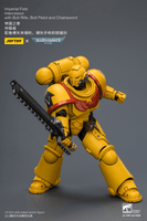 Imperial Fists Intercessor with Bolt Rifle, Bolt Pistol and Chainsword 24