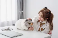 GoodSmile Moment Team Timothy Kuikui Sheep Hug Pillow - Team Timothy - photo 6