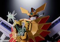 GX-112 REPLIGAIGAR &OPTION SET "THE KING OF BRAVES GAOGAIGER FINAL", TAMASHII NATIONS SOUL OF CHOGOKIN 11