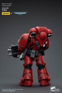 Blood Angels Intercessors 7