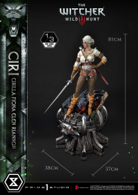 Museum Masterline The Witcher 3: Wild Hunt Ciri Fiona Elen Riannon 36