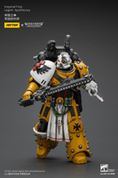 Imperial Fists Legion Apothecary 18
